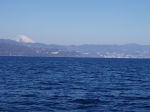 P1010003.JPG
