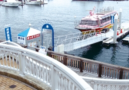 at_NORIBA.jpg