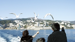 atkamome2.jpg